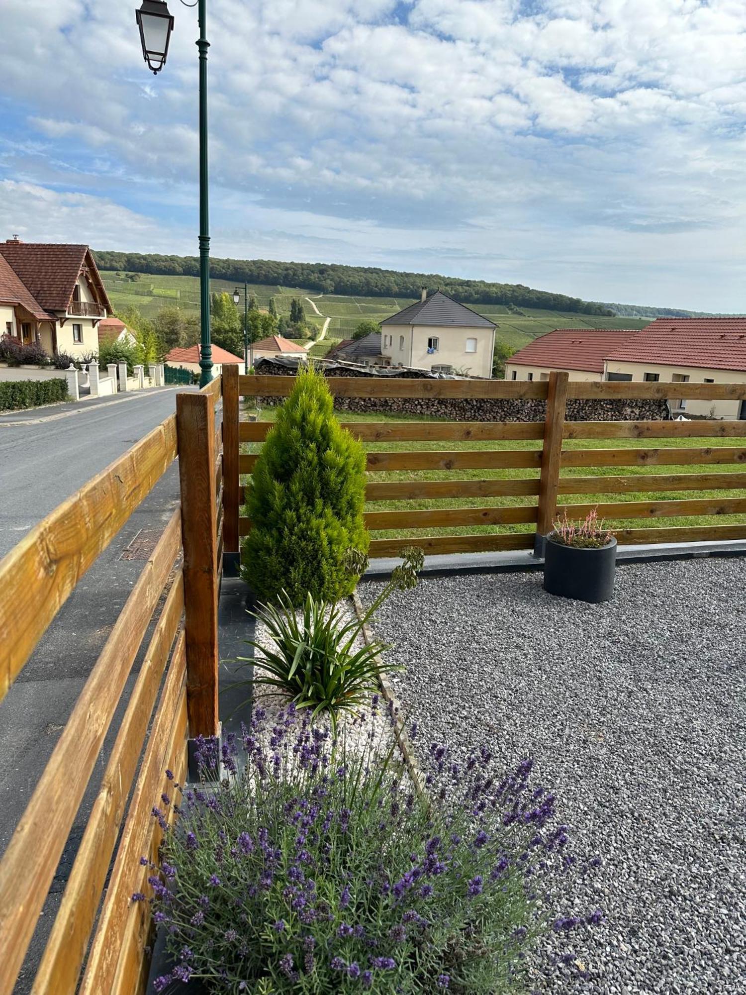 Fleury-la-Riviere Chez Celia, Roulotte En Champagne 빌라 외부 사진